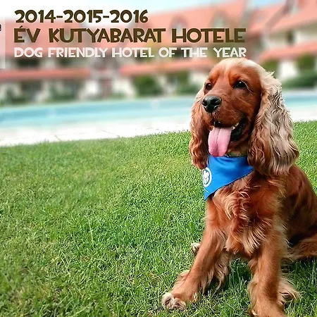 Abbazia Country Club Superior 3* Nemesnép